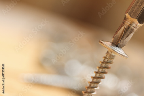 Screwdriver inserted into screw head. Macro photography isolated on blurred background.