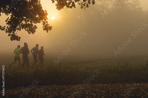 Group of runners in the park with fog at dawn
