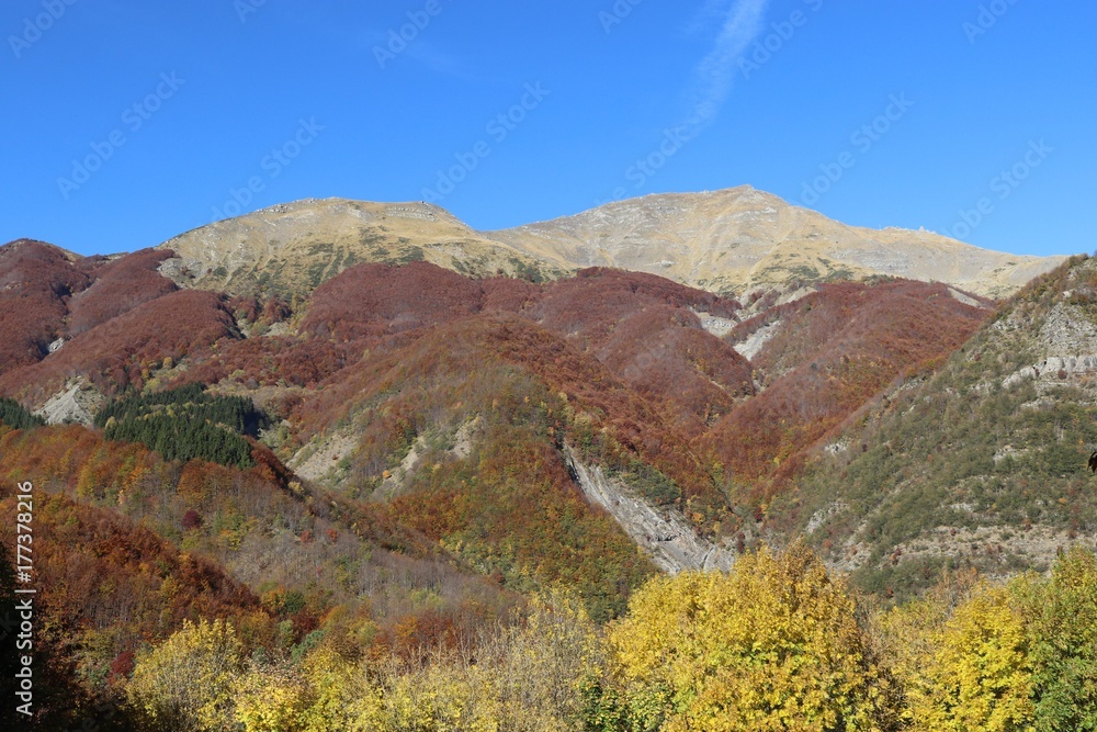 autunno con vista sul crinale Appenninico tre Emilia e Toscana, località i Taburri autunno con vista sul crinale Appenninico tre Emilia e Toscana, località i Taburri