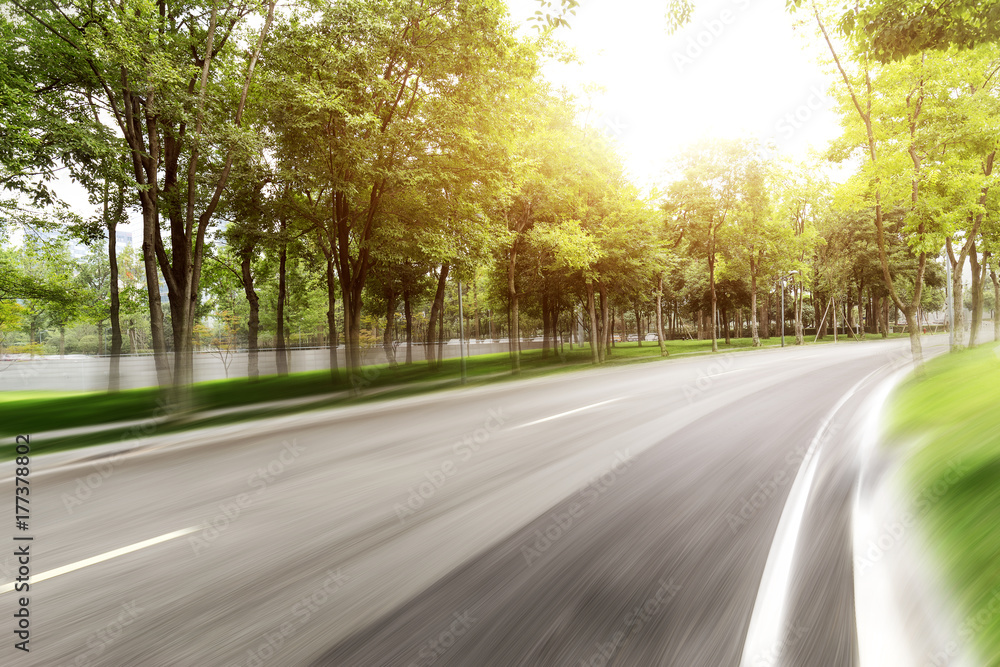 Fototapeta premium empty asphalt road with green trees