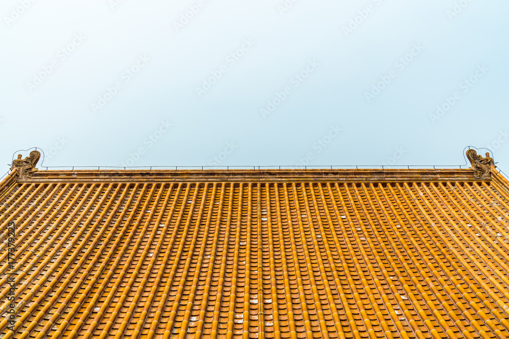 The palace roof. The palace roof.