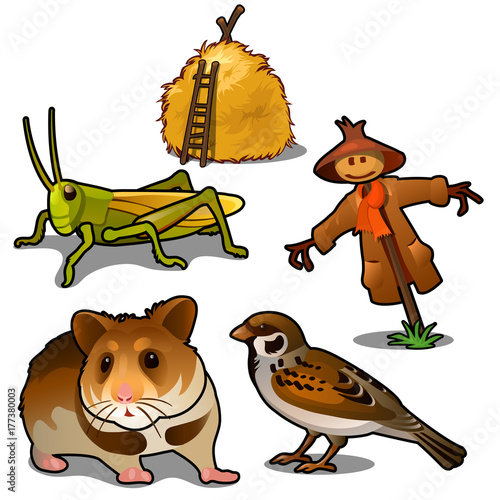 Grasshopper, mouse, sparrow, scarecrow and haystack. Insects, animals in agriculture. Natural thematic five icons isolated on white background. Vector illustration in cartoon style