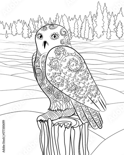 Snowy owl in the zentangle style.