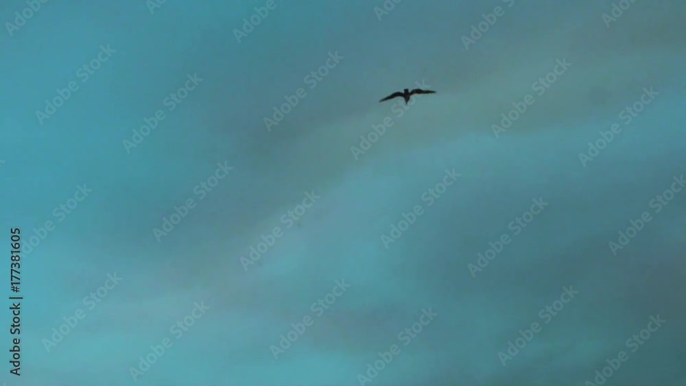 Slow motion shot of a bird flapping its wings and flying with mountains underneath, and colourful sky above Slow motion shot of a bird flapping its wings and flying with mountains underneath, and colourful sky above