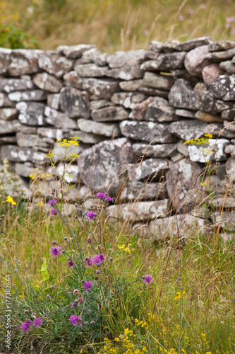 Rough stone wall with flowers