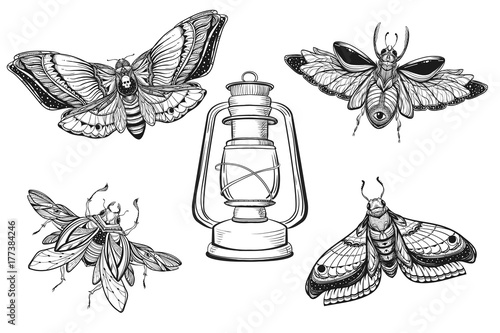 Beetle bug tattoo with lantern drawing set. Scarab bug illustration