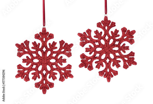 Rote Weihnachtssterne