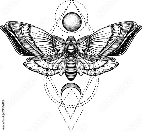 black and white deadhead butterfly on sacred geometry vector illustration