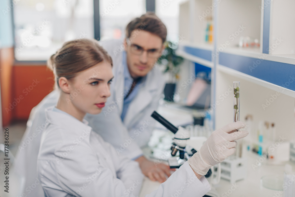 biologists with plant in tube biologists with plant in tube