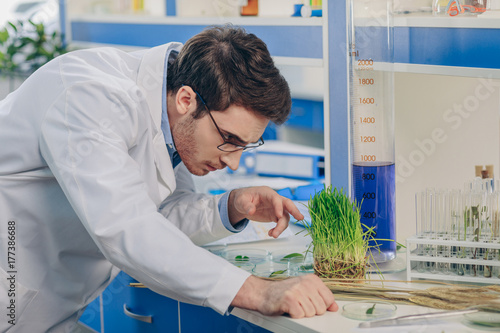 Εκτύπωση καμβά biologist with grass in laboratory