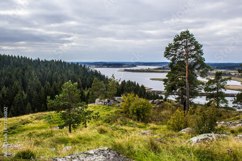 View from the hill to the forest and the lake