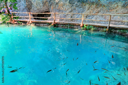 Fish Swim Under the Wooden Walkway at Croatia's Plitvice Lakes National Park