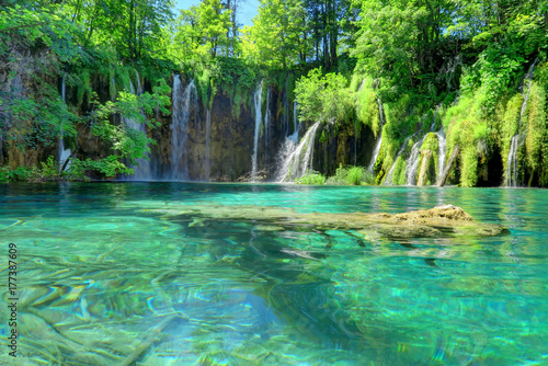 Fototapeta Naklejka Na Ścianę i Meble -  Waterfall, Pond, and Submerged Log at Croatia's Plitvice Lakes National Park.