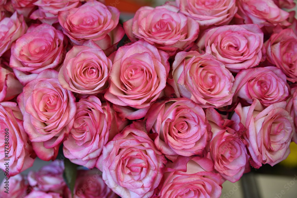 Fototapeta premium Bukiet róż