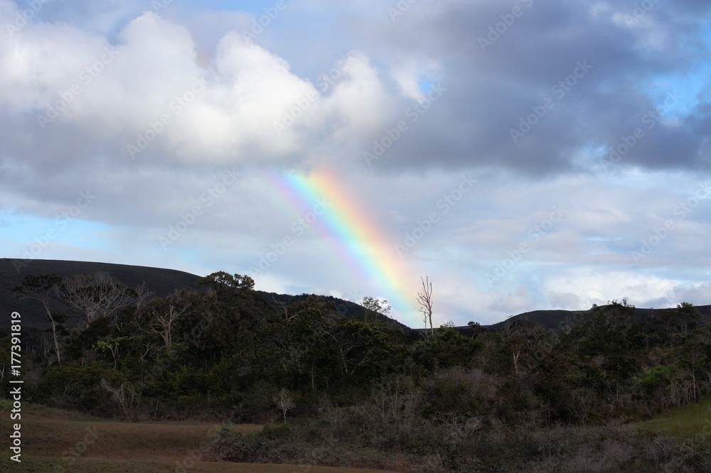 Rainbow in Gran Savana, Venezuela