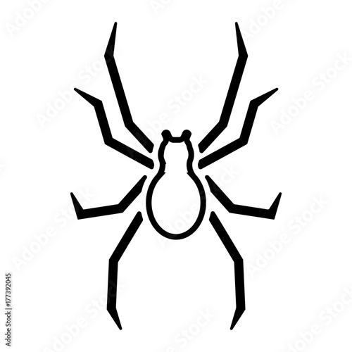 Spinne