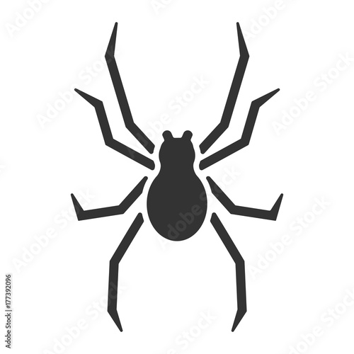 Spinne