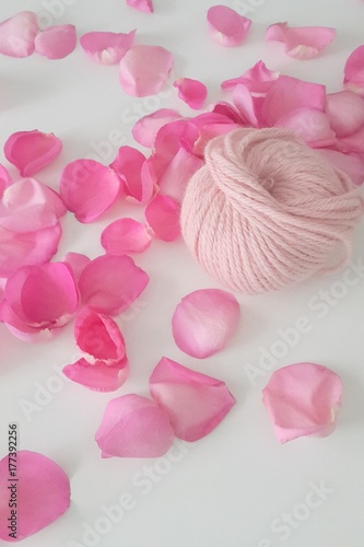 Pink ball of yarn between rose petals on white background
