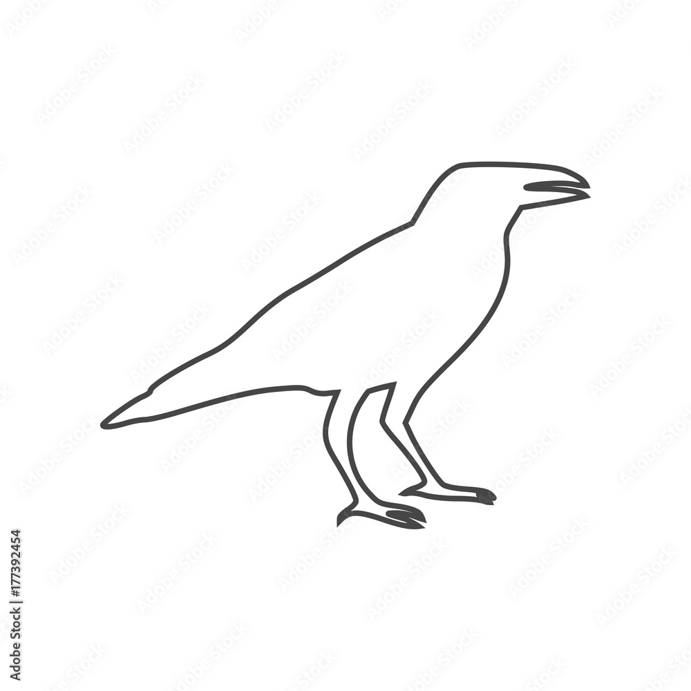 Crow vector illustration design, Crow silhouette Crow vector illustration design, Crow silhouette