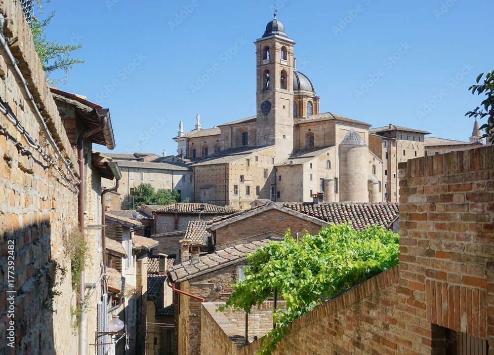 Urbino. Summer afternoon.