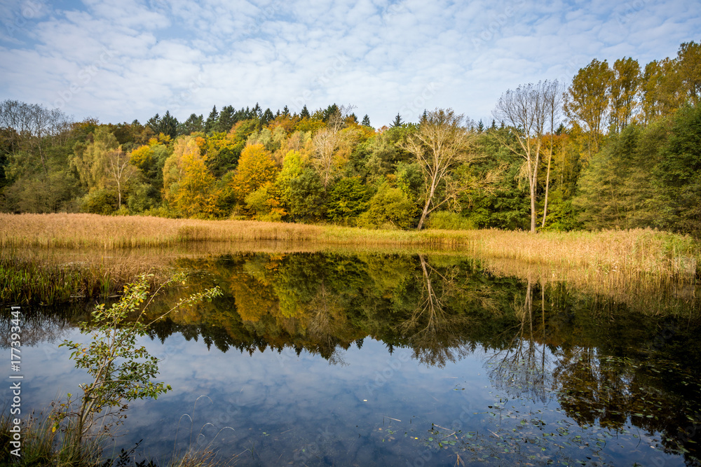 Fototapeta premium Forellenteich am Hütter Wohld