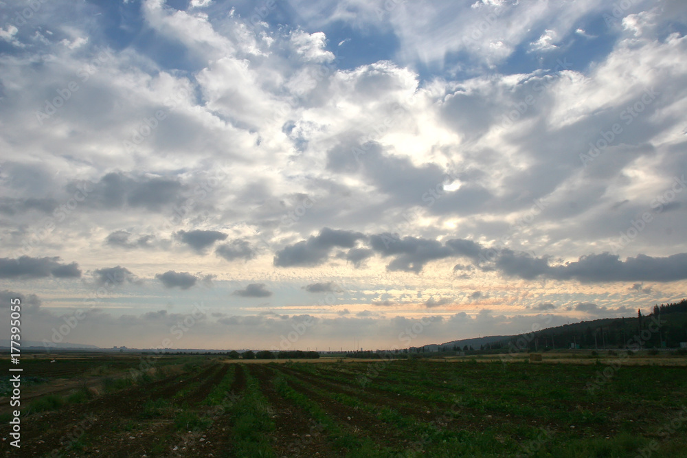 agricultural landscape of the Galilee fields
agricultural landscape of the Galilee fields