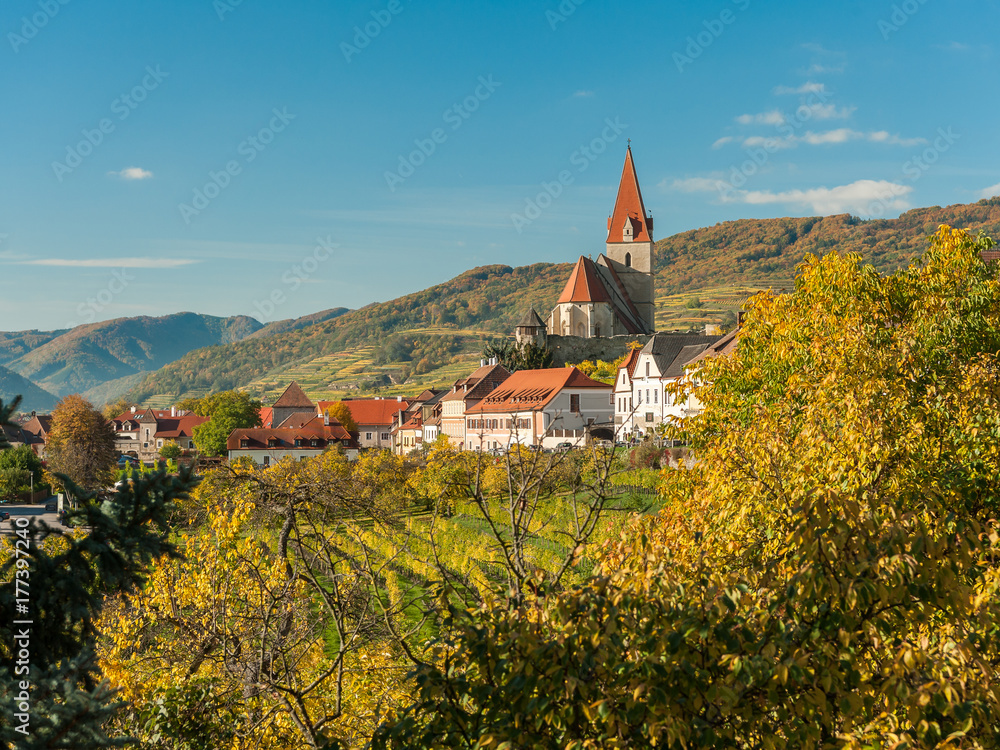 Weissenkirchen Wachau Austria in autumn colored leaves and vineyards