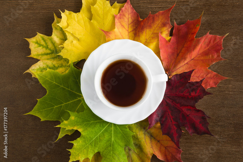 Welcome autumn. Cup of maple tea or coffee on the beautiful, fresh, colorful maple leaves on the wooden table. Enjoying and warming with hot drink in the evening. Relaxing concept with autumnal mood. 