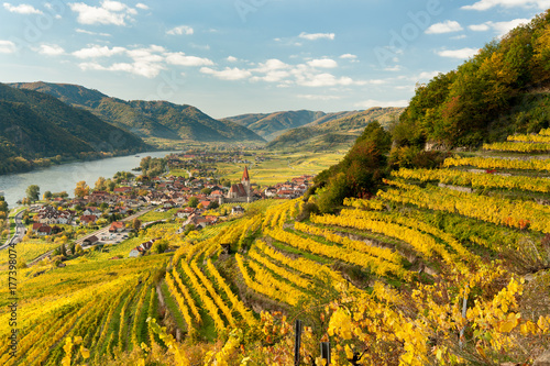 Weissenkirchen Wachau Austria in autumn colored leaves and vineyards photo
