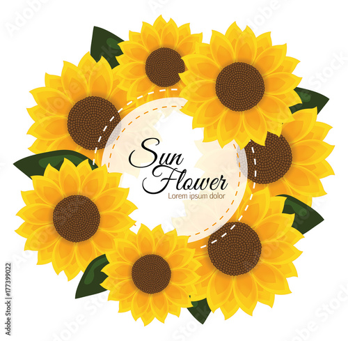 Sunflower invitation. Yellow flowers card design. Vector illustration. Sunflower frame