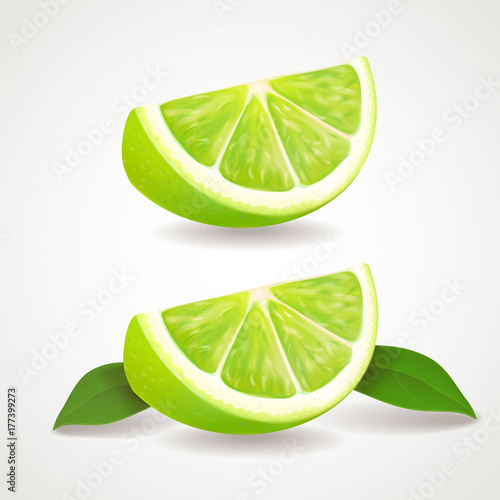 Slices of lime isolated icon . Realistic vector illustration