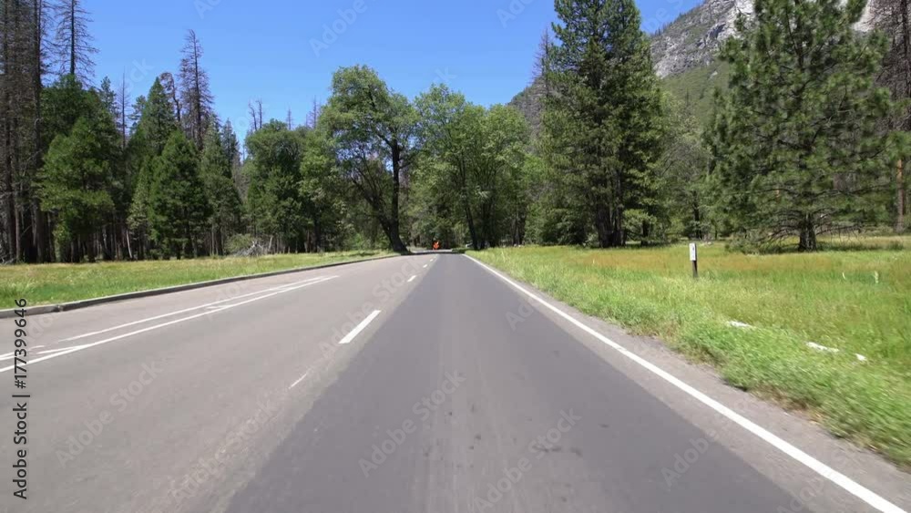 Yosemite Driving Plate Valley 14 Forest