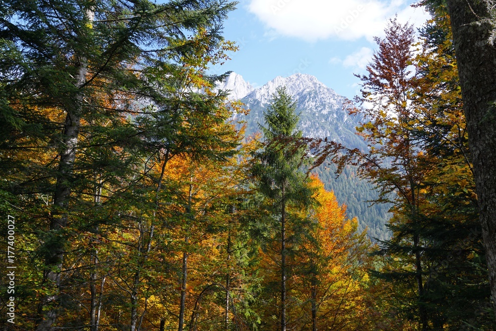 Region Wilder Kaiser in der Nähe von Ellmau, Scheffau und Kitzbühel in Österreich Region Wilder Kaiser in der Nähe von Ellmau, Scheffau und Kitzbühel in Österreich