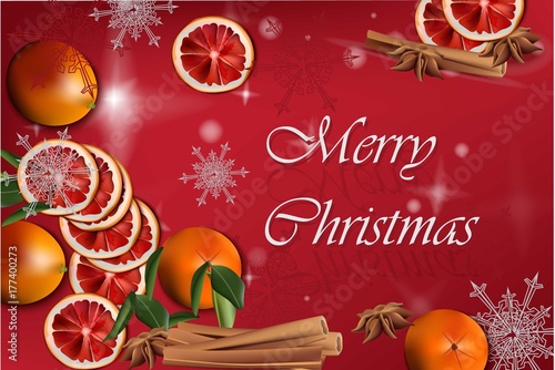Merry Christmas Vector card with orange slices