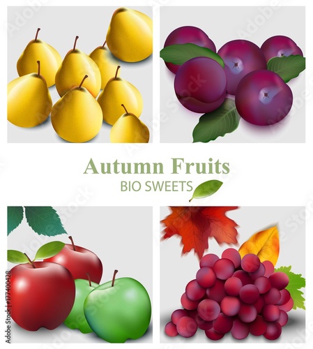 Fruits set Vector realistic. Pear, apple, grapes and plums