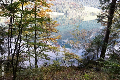 Hintersteiner See in Scheffau in der N  he von Ellmau und Kitzb  hel am Wilder Kaiser in   sterreich