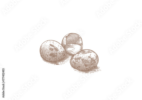 Three quail eggs