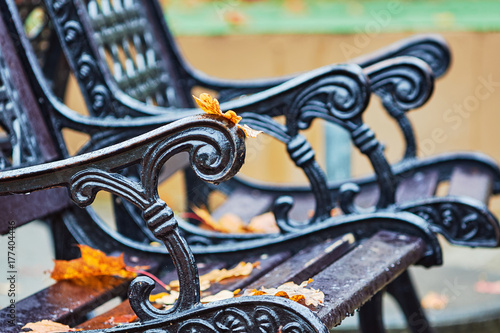 autumn leaves on a park bench in rain in Poland.