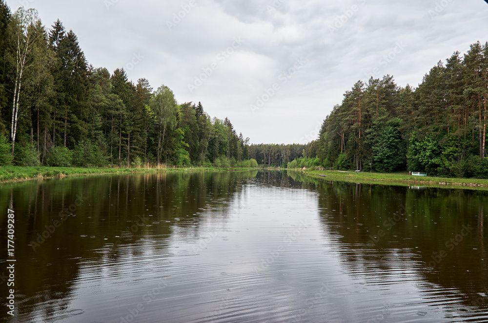 A river in the background of a forest. Green trees.