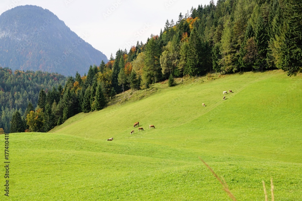 Wilder Kaisser massiv am hintersteiner see in tirol in Österreich