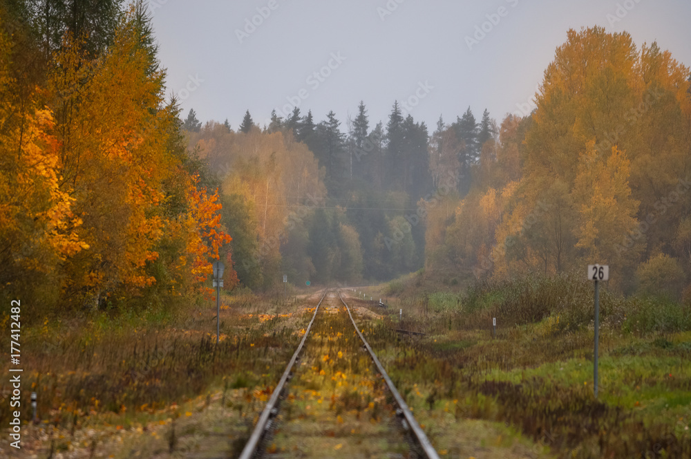 Railroad to the beautiful autumn.
