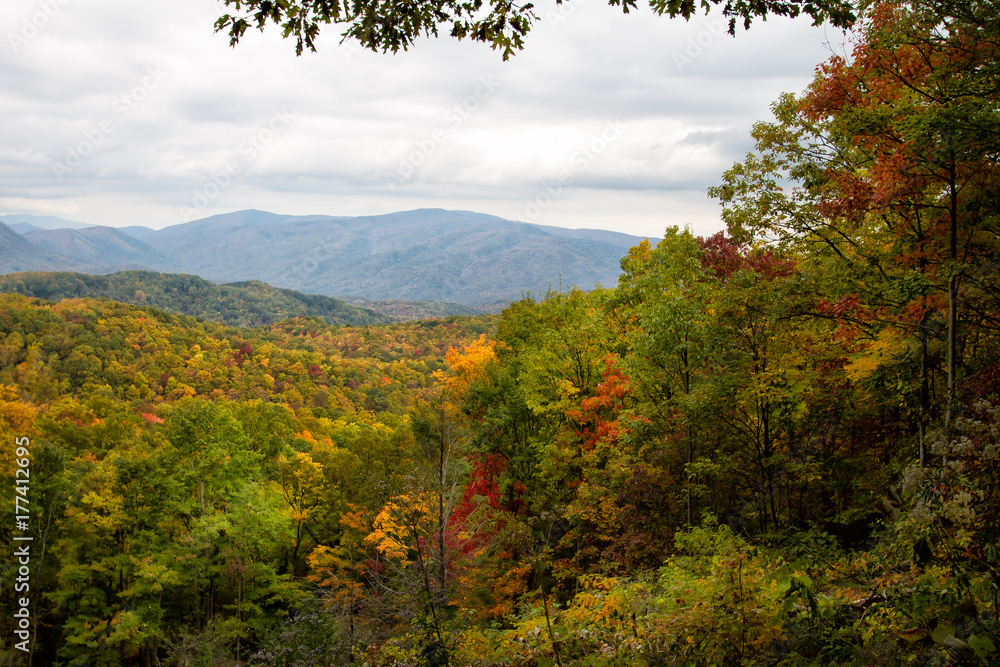 Smoky mountain valley with colorful fall foliage Smoky mountain valley with colorful fall foliage