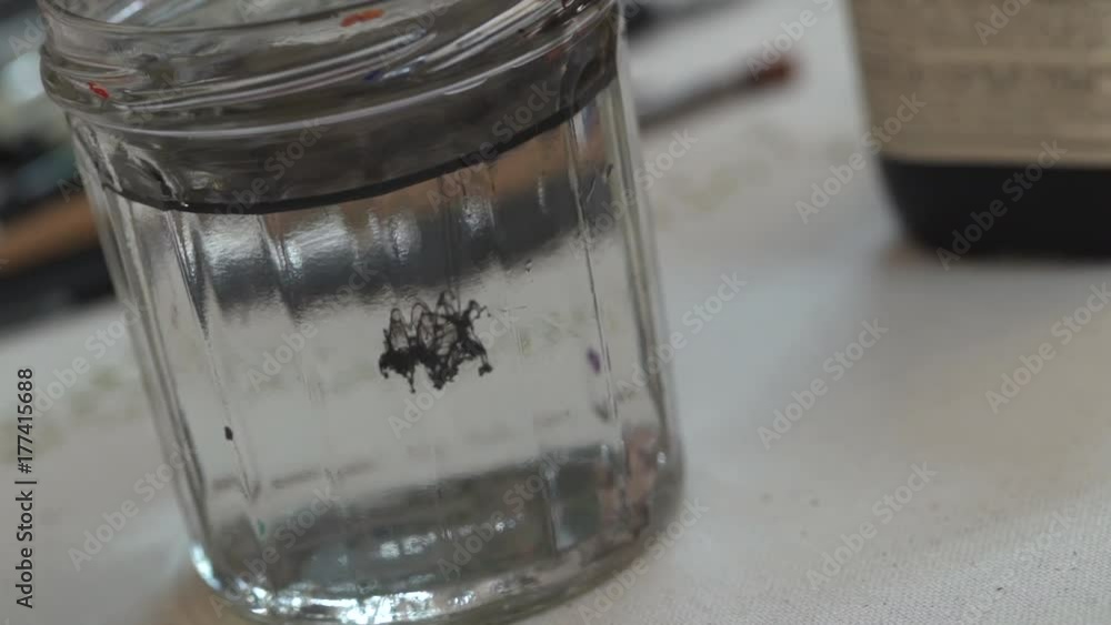 goutte d'encre se dissolvant doucement dans l'eau goutte d'encre se dissolvant doucement dans l'eau