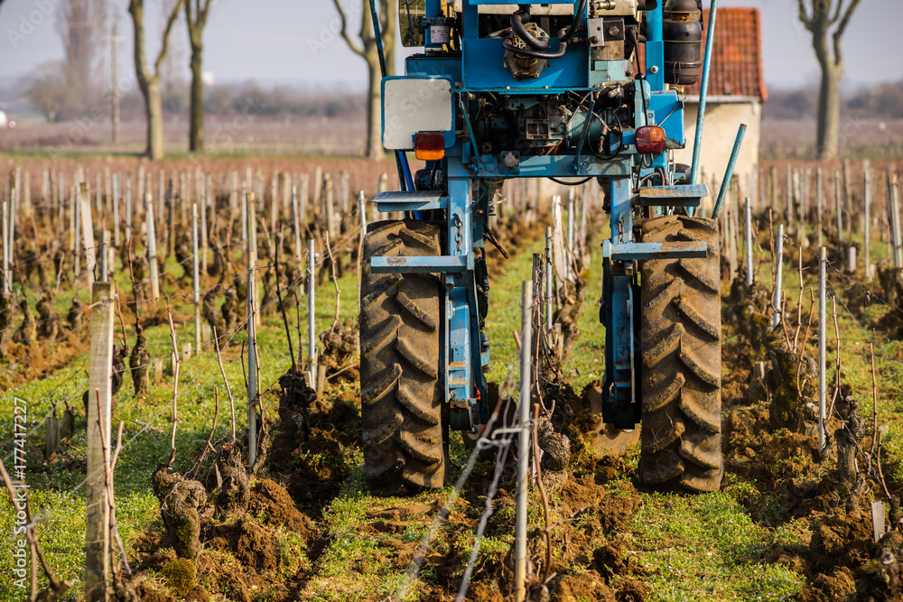 Obraz premium tracteur dans la vigne