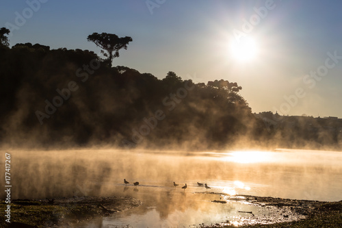 Manhã de inverno no lago