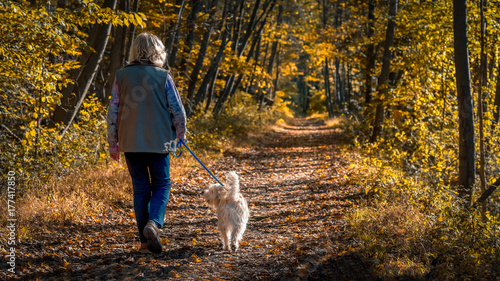 Senior woman walking a dog on a forest trail during a late afternoon in autumn