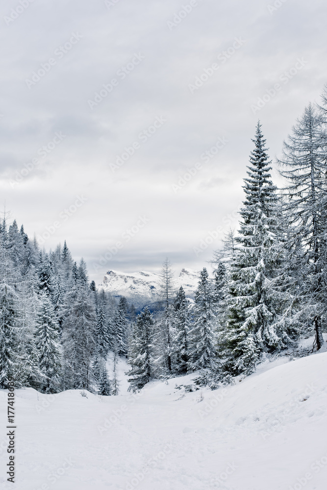 Winter wonderland, snowy landscape with pine trees and mountain in the background Winter wonderland, snowy landscape with pine trees and mountain in the background