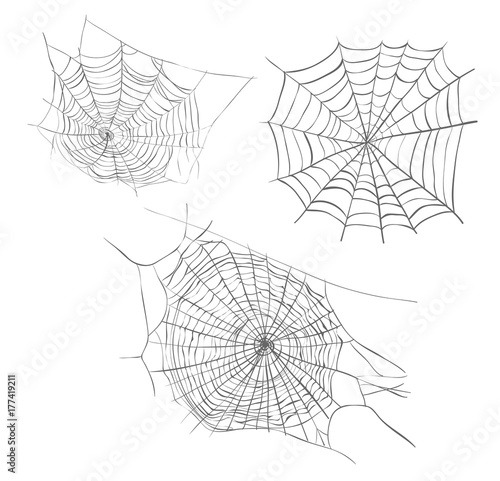 Spiderweb sketch vector illustration. Spider web hand drawing set collection spider web