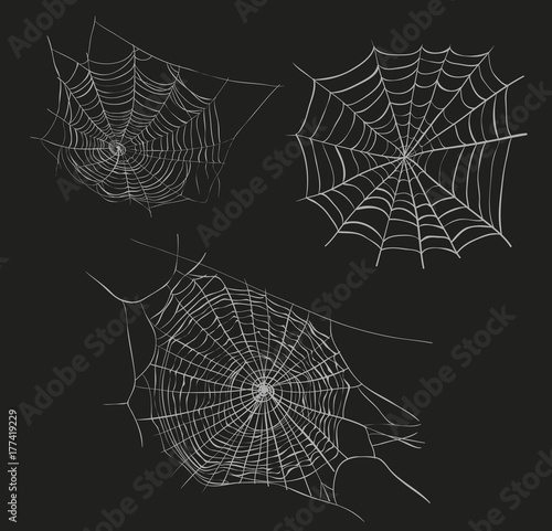 Spider web sketch vector illustration. Set web collection