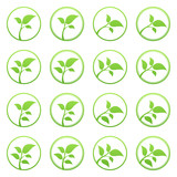 Set of green leaf logo template. 